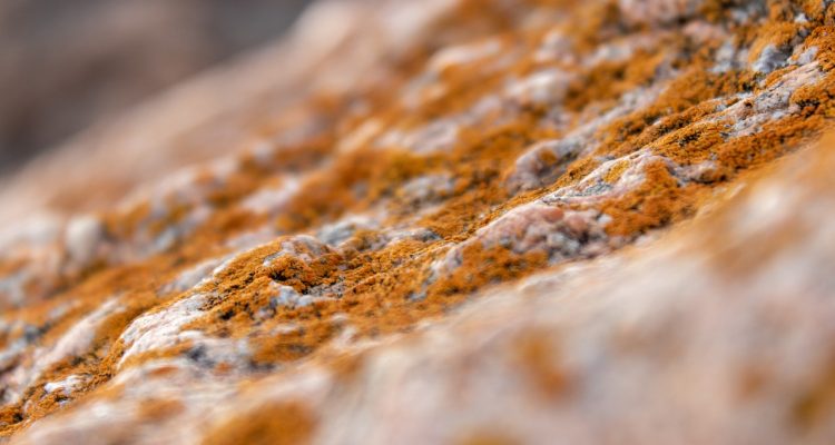 découvrez nos moules à gâteau en silicone, parfaits pour réaliser des créations pâtissières variées. résistants et faciles à démouler, ils permettent de préparer des gâteaux, muffins et desserts en toute simplicité. obtenez des résultats impeccables à chaque utilisation !