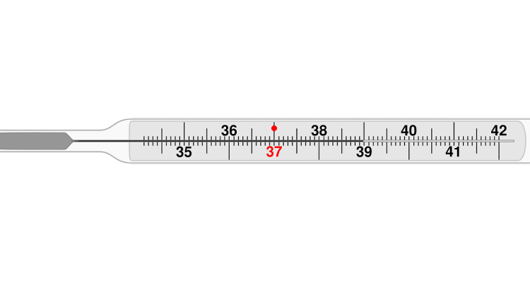 découvrez l'importance d'un thermomètre à four pour une cuisson parfaite. obtenez des résultats précis à chaque utilisation et maîtrisez l'art de la cuisine avec cet outil essentiel.
