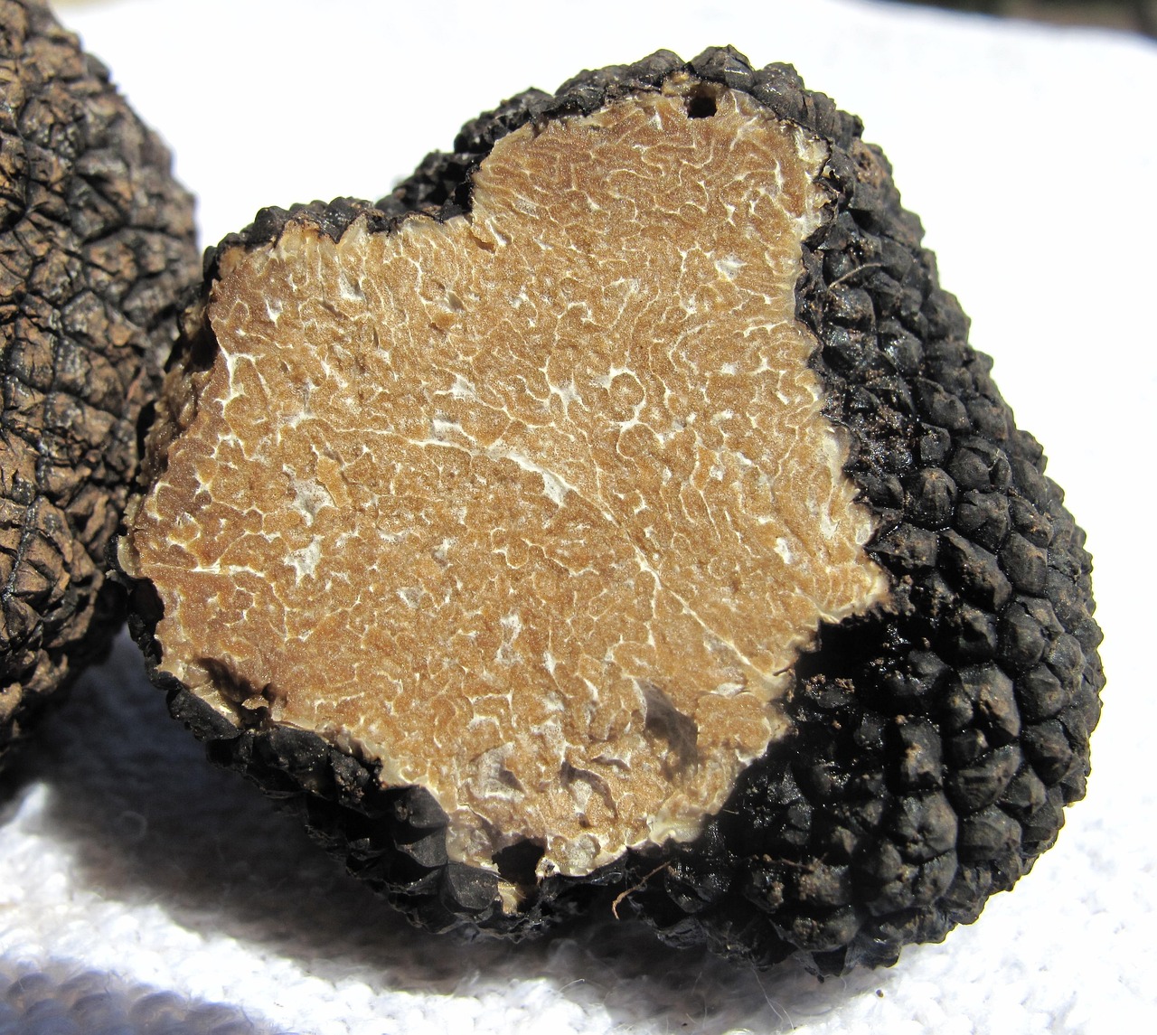 découvrez notre couteau à truffes, l'outil idéal pour les passionnés de gastronomie. sa lame fine et précise vous permet de couper les truffes en tranches parfaites, préservant ainsi leurs arômes délicats. un must-have pour sublimer vos plats.